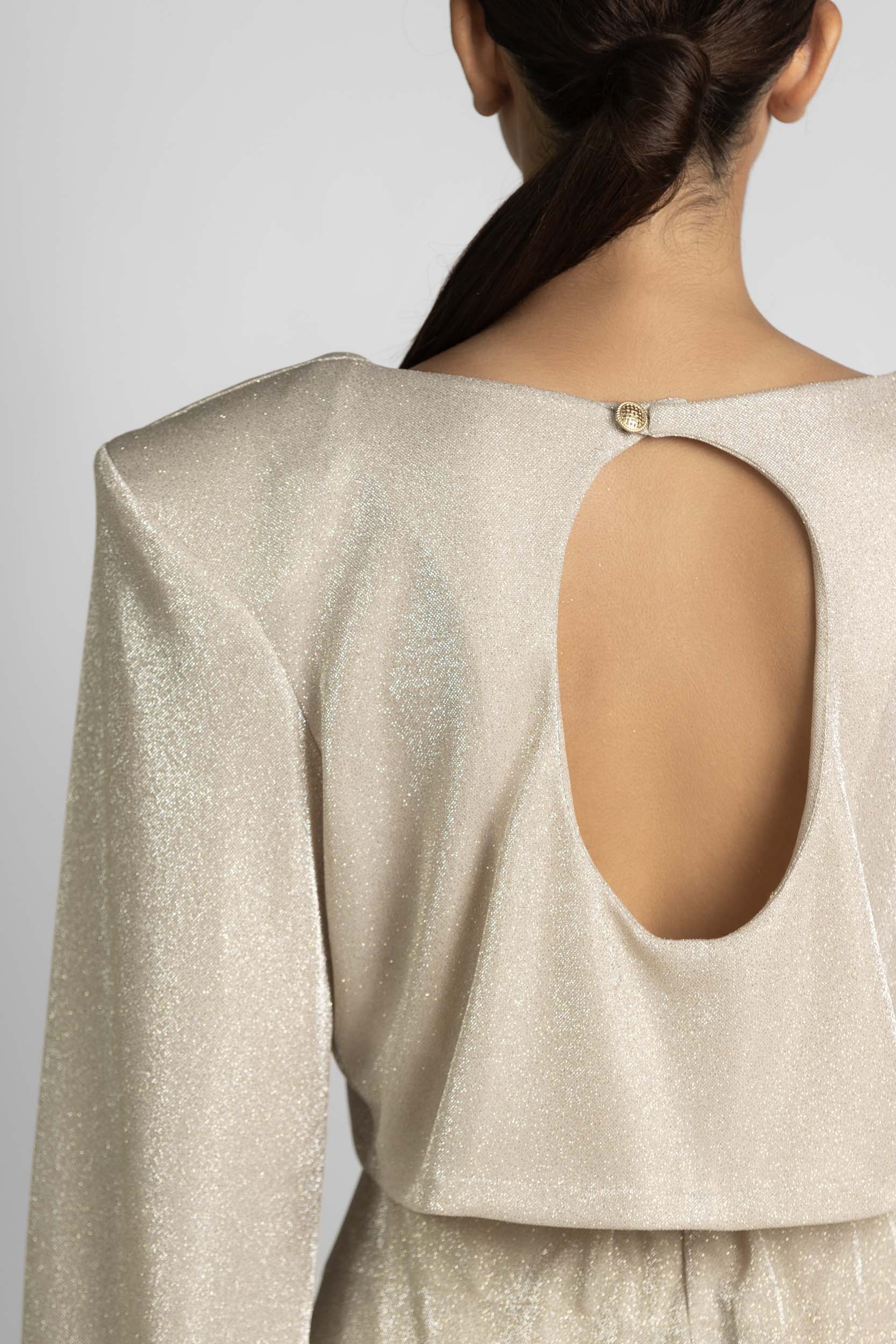 Gold Glitter Transparent Top with long sleeves, open back details.