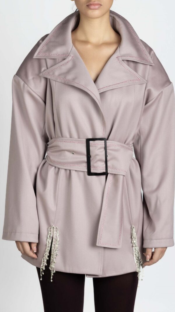 Blazer Coat in dusty pink, with belt. It has Swarovski and lurex thread details on it. Front photo.